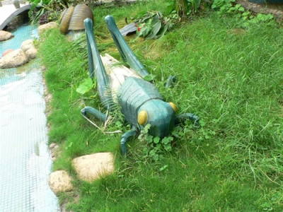 蝗蟲